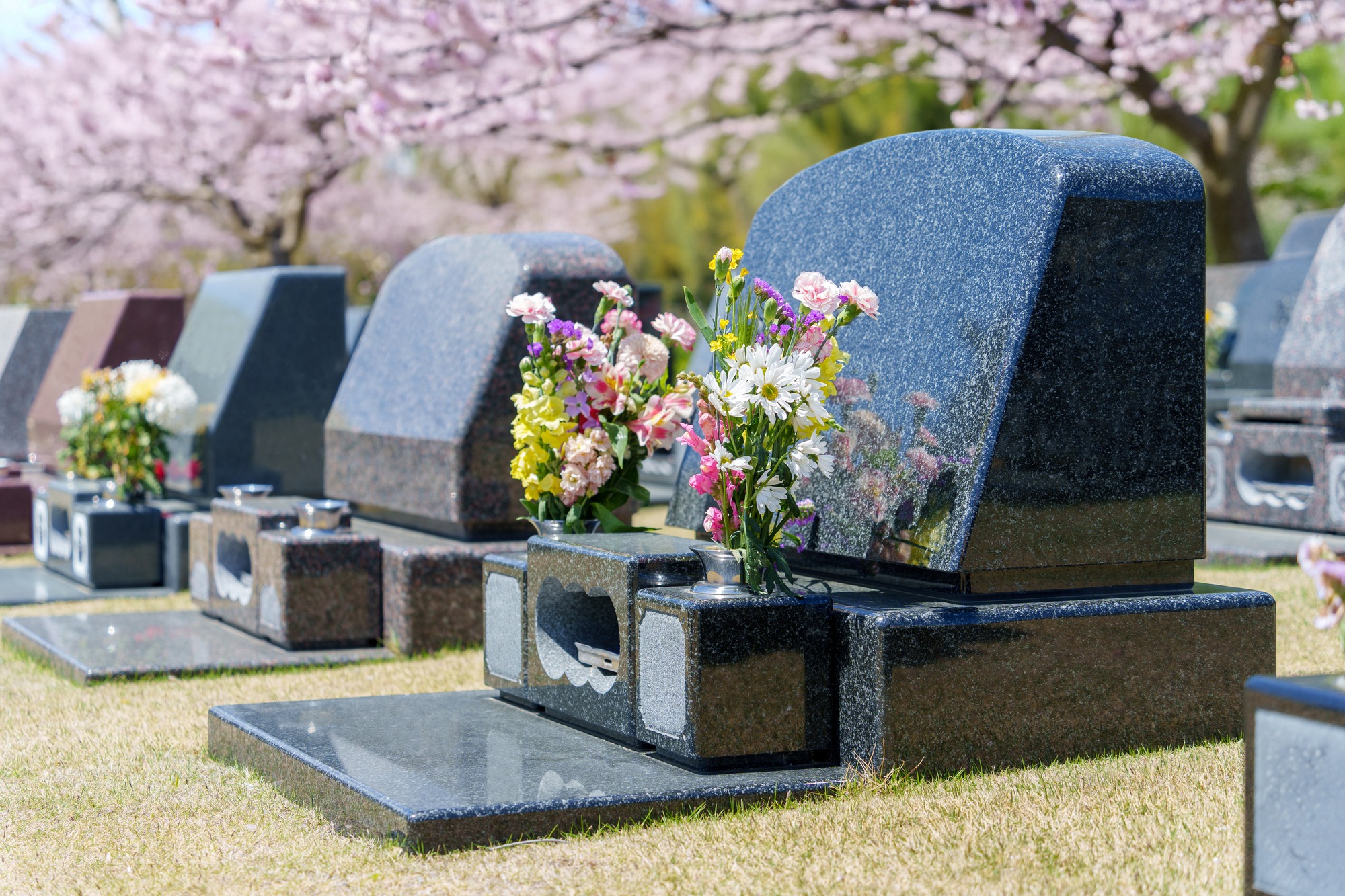 桜の季節の墓地
